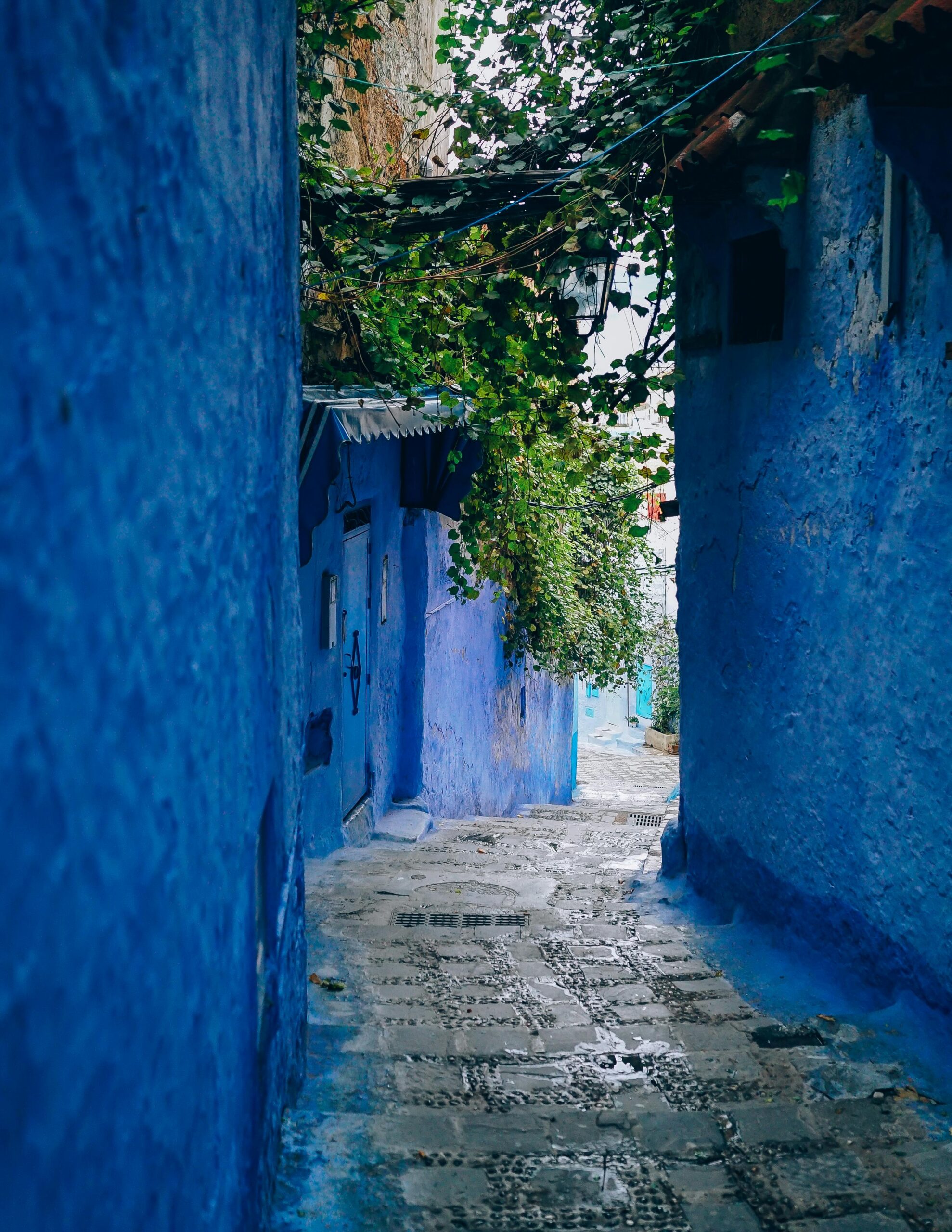 A picturesque narrow alley with blue painted walls and ivy in Marrakech, Morocco.